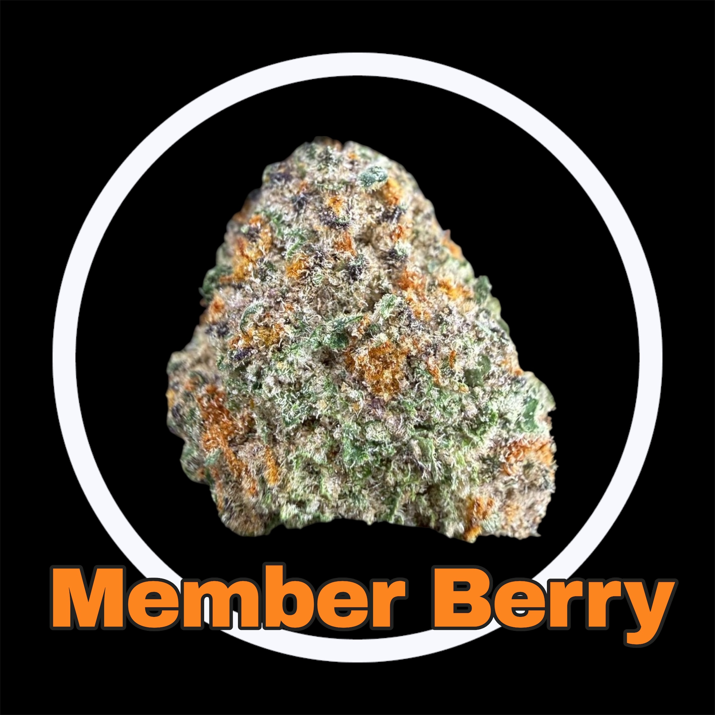 30-03-26 07-19-35pm.jpg